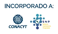 SNP - becas conacyt para maestrias 2023